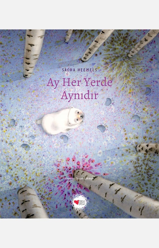 Ay Her Yerde Aynıdır