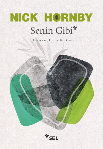 Senin Gibi - Nick Hornby