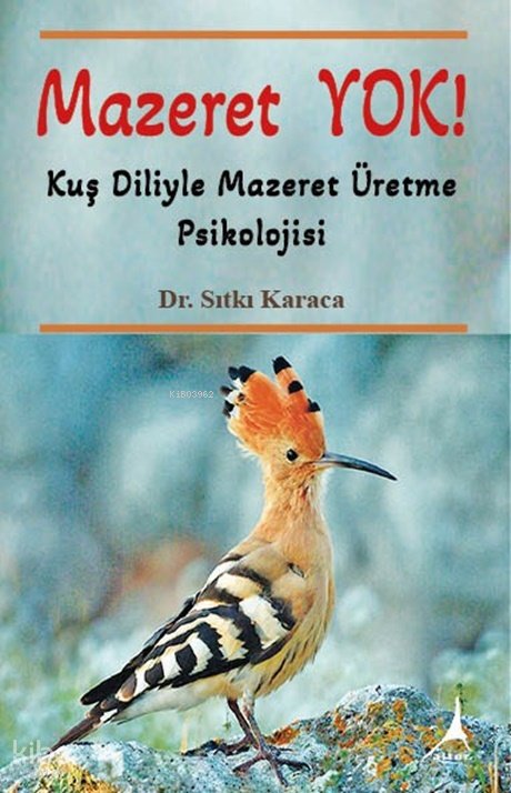Mazeret Yok - Sıtkı Karaca