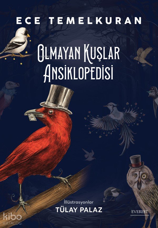 Olmayan Kuşlar Ansiklopedisi - Ece Temelkuran