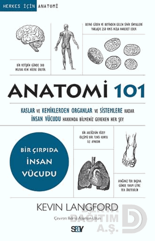 HERKES İÇİN - 101 ANATOMİ