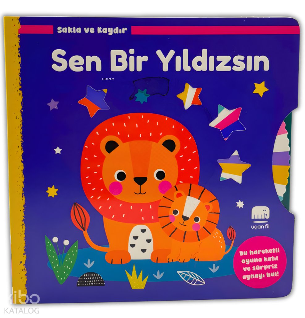 Sakla ve Kaydır - Sen Bir Yıldızsın