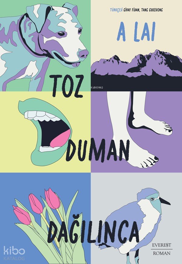 Toz Duman Dağılınca - Alai