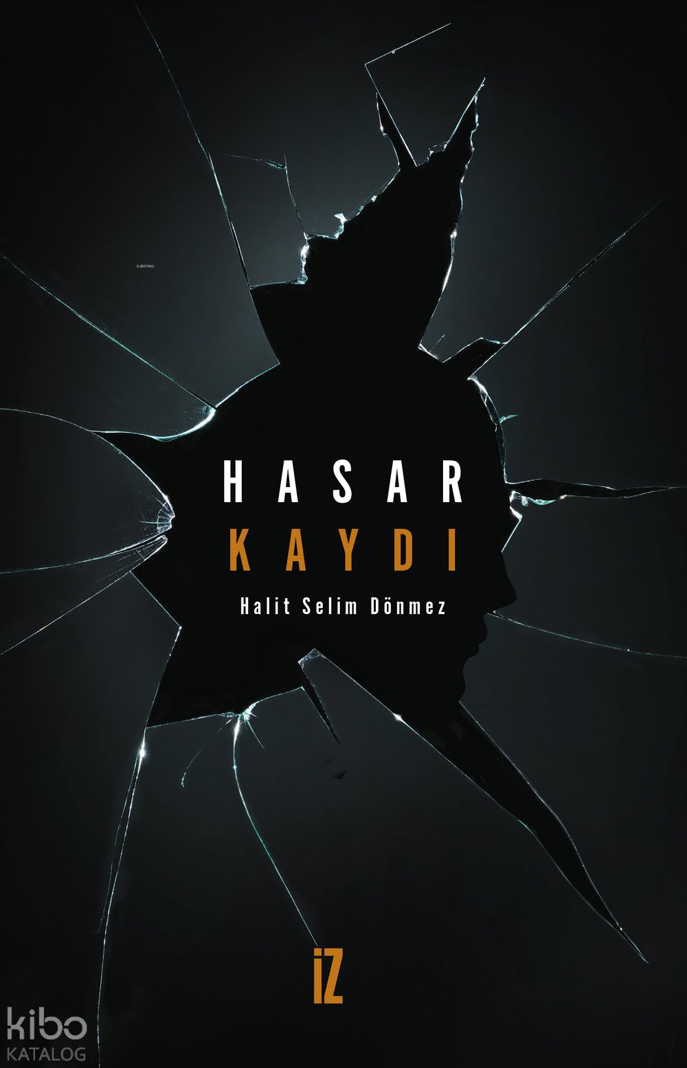 Hasar Kaydı - Halit Selim Dönmez