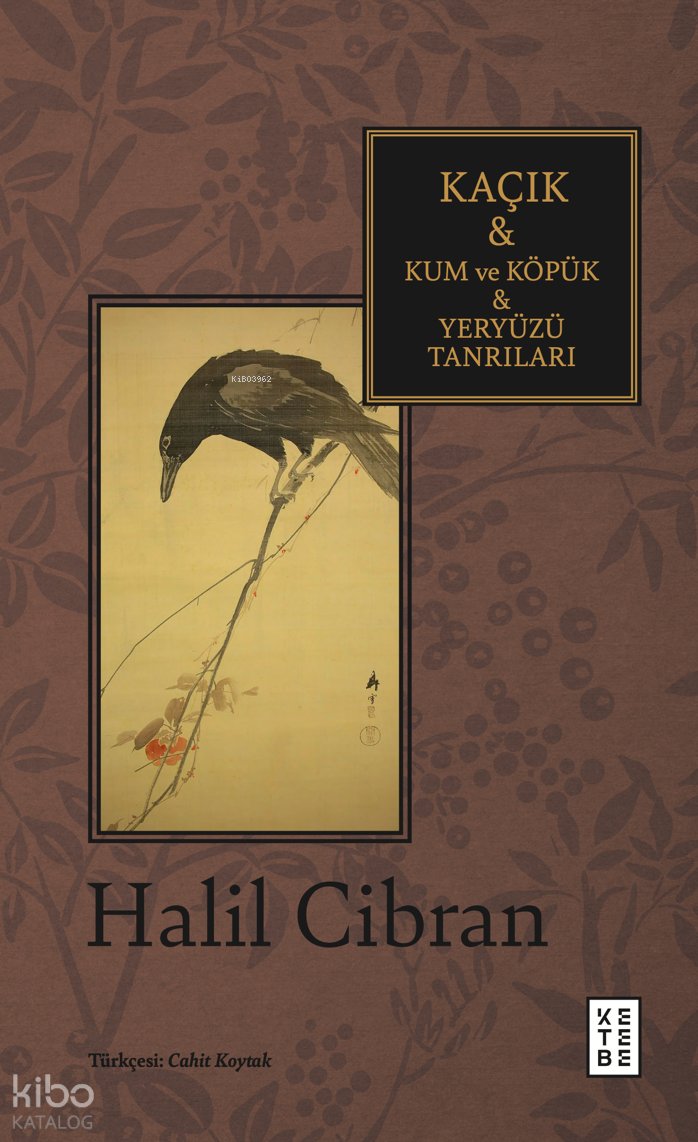 Kaçık & Kum ve Köpük & Yeryüzü Tanrıları