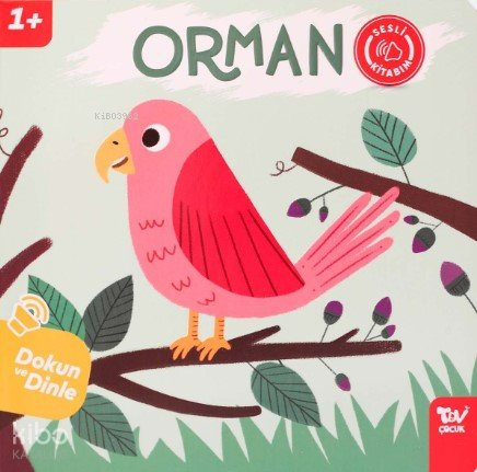 Orman