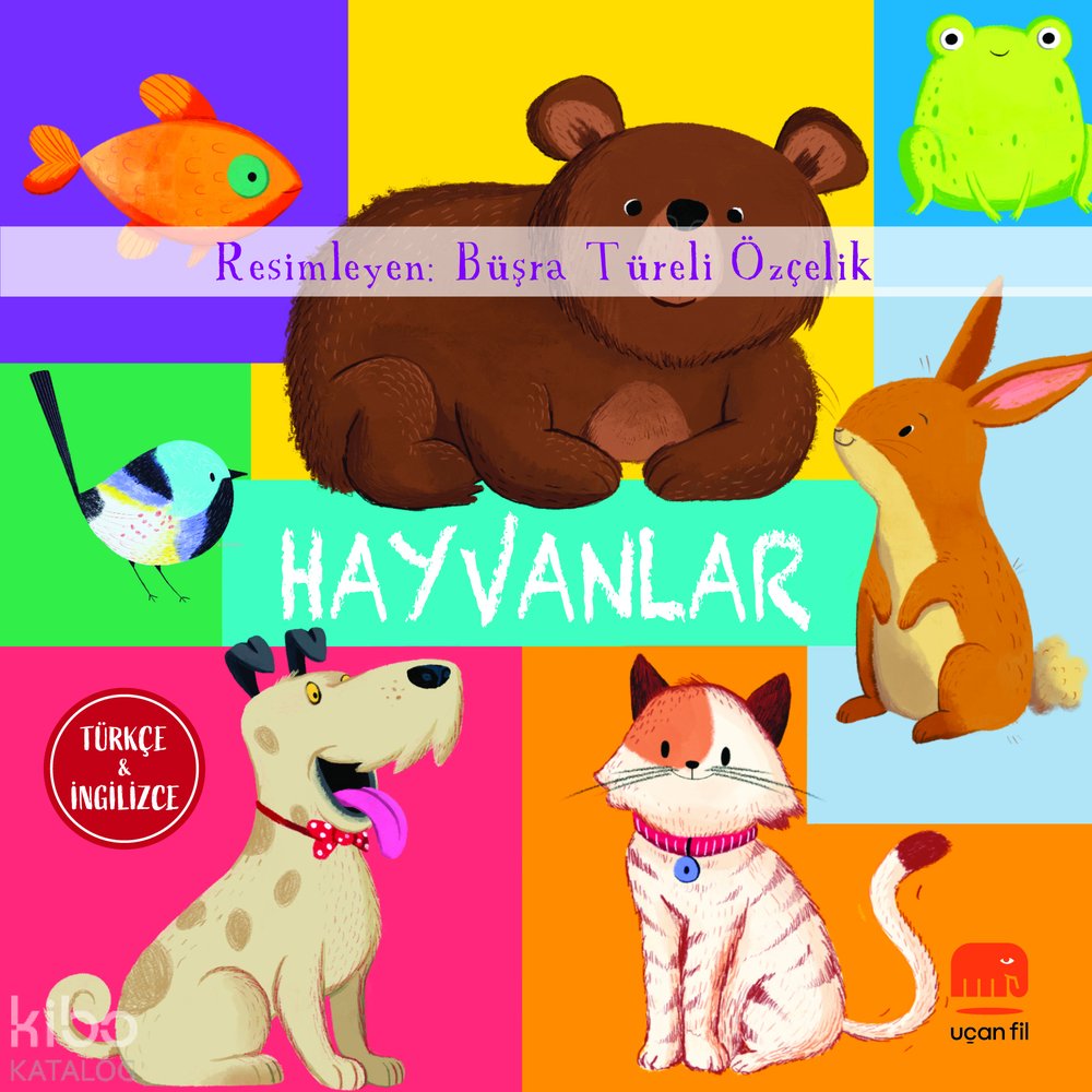 Hayvanlar