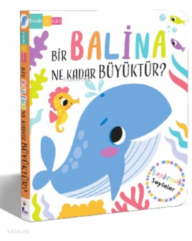 KAYDIR KEŞFET - BİR BALİNA NE KADAR BÜYÜKTÜR ?