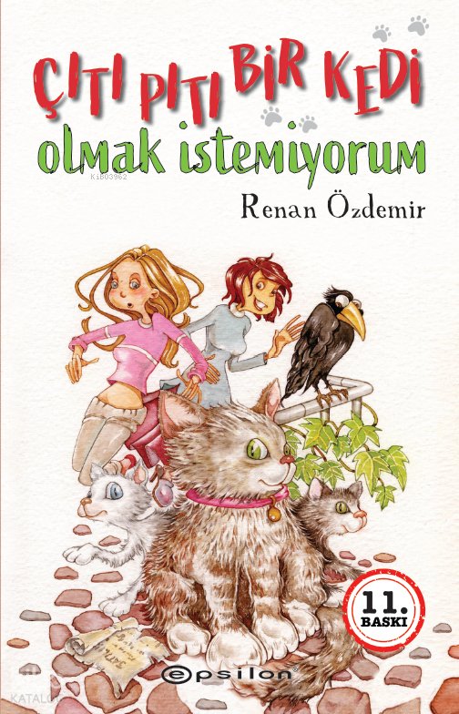 Çıtı Pıtı Bir Kedi Olmak İstemiyorum - Renan Özdemir