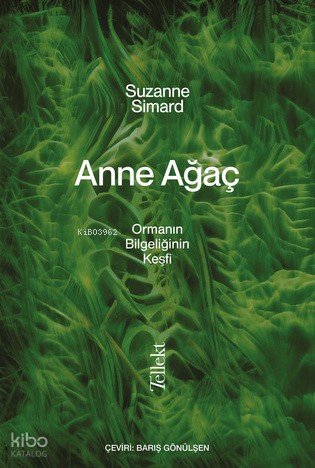 Anne Ağaç
