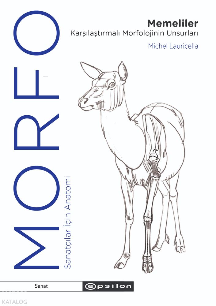 MORFO - MEMELİLER - 