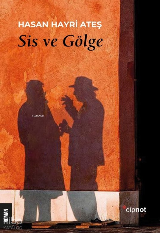 Sis ve Gölge - Hasan Hayri Ateş