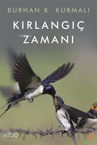 Kırlangıç Zamanı - Burhan K. Kurmalı