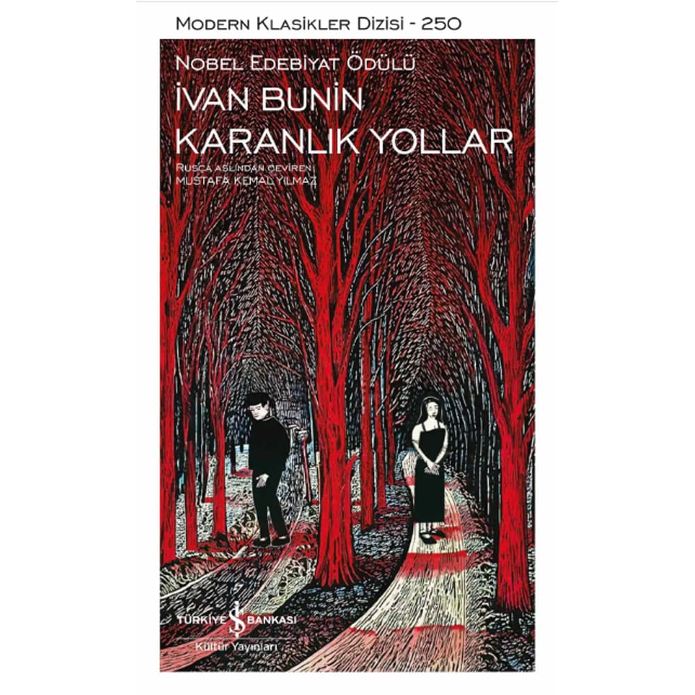 KARANLIK YOLLAR - 250 (KARTON KAPAK)