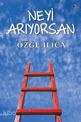 Neyi Arıyorsan