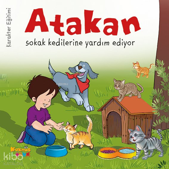 Atakan Sokak Kedilerine Yardım Ediyor - Seda Darcan Çiftçi