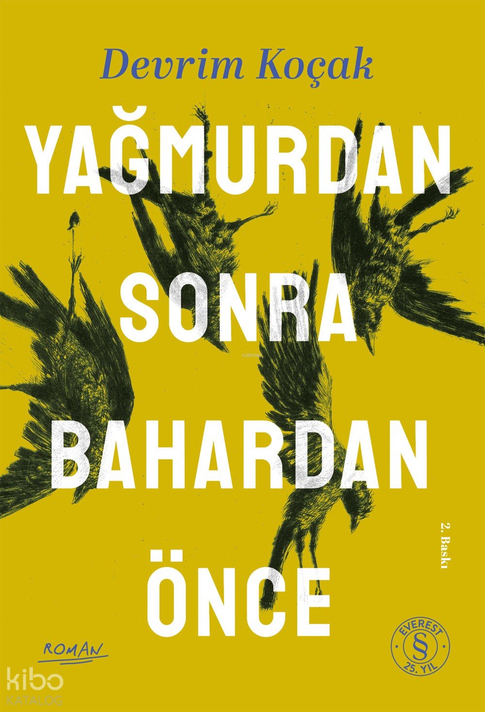 Yağmurdan Sonra Bahardan Önce - Devrim Koçak