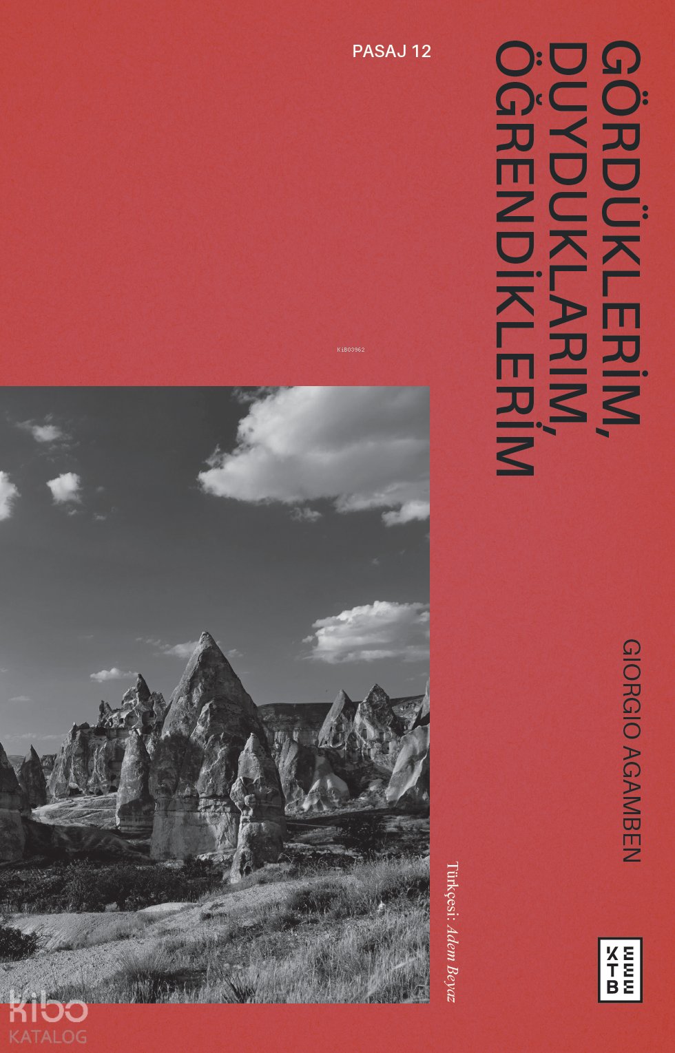 Gördüklerim, Duyduklarım, Öğrendiklerim - Giorgio Agamben