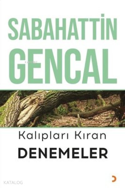Kalıpları Kıran Denemeler - Sabahattin Gencal