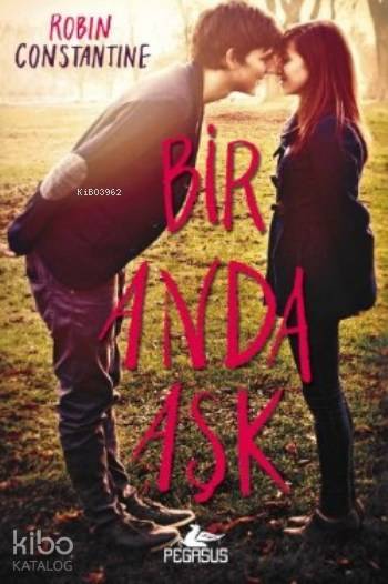 Bir Anda Aşk