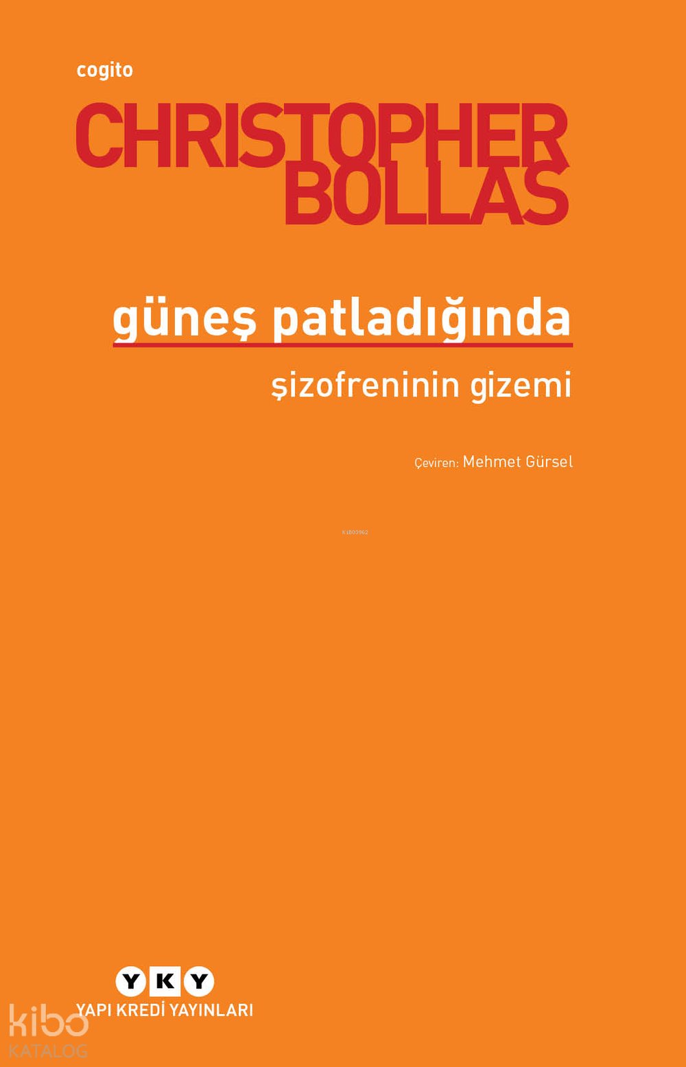 Güneş Patladığında Şizofreninin Gizemi - Christopher Bollas