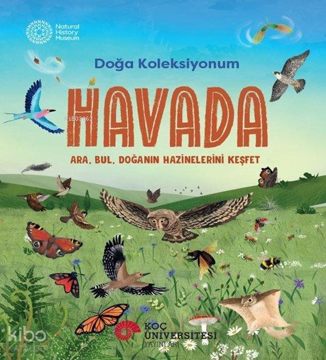 Havada - Cameron Menzies