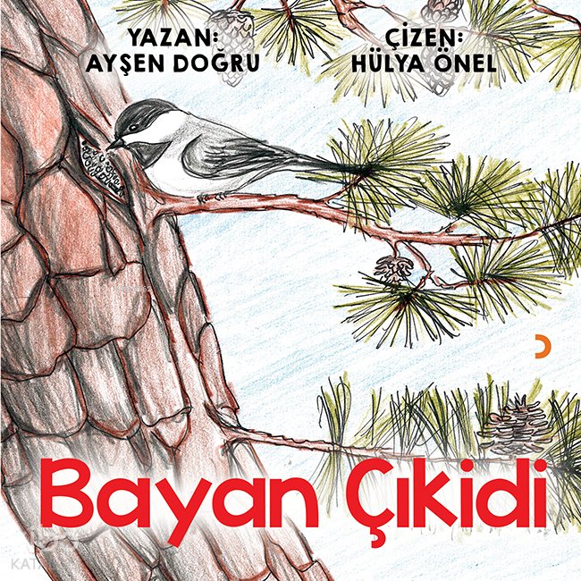 Bayan Çıkidi - Ayşen Doğru