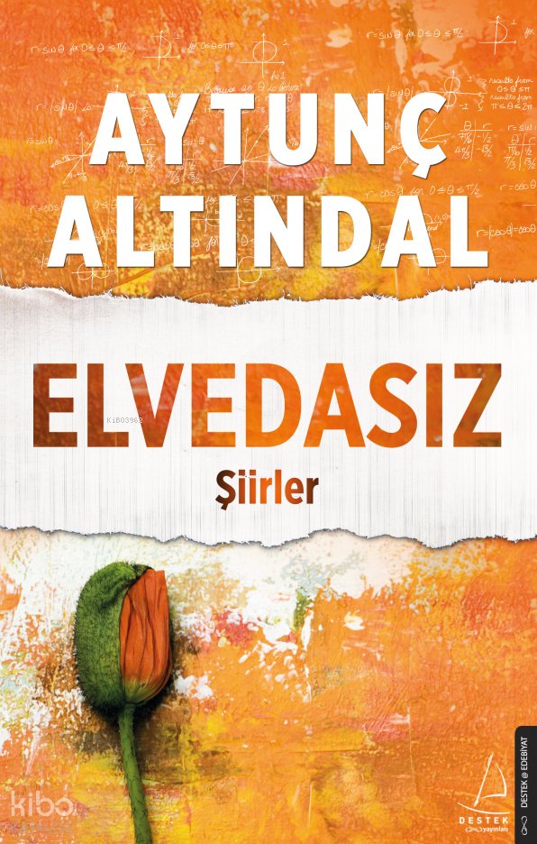 Elvedasız - Aytunç Altındal