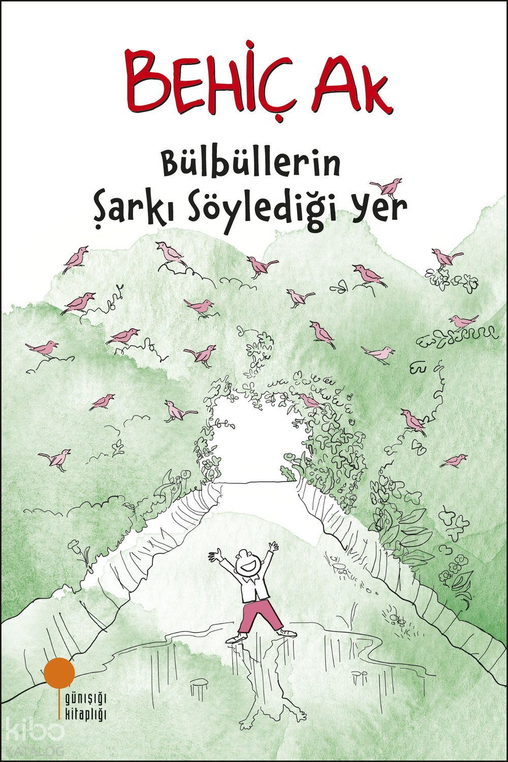 Bülbüllerin Şarkı Söylediği Yer - Behiç Ak