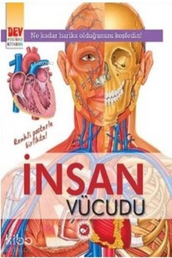 İnsan Vücudu Dev Posterli Kitabım