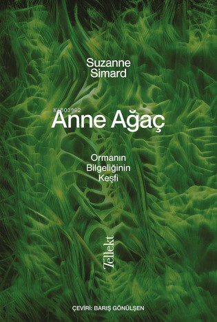 ANNE AĞAÇ