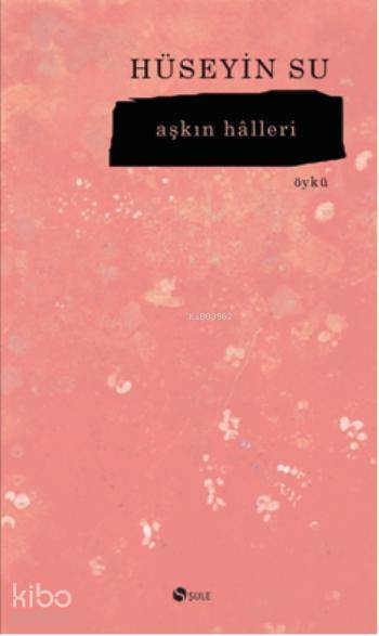 Aşkın Halleri - Hüseyin Su