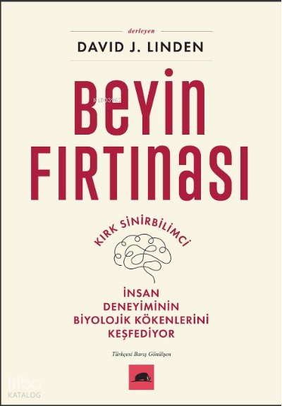 Beyin Fırtınası