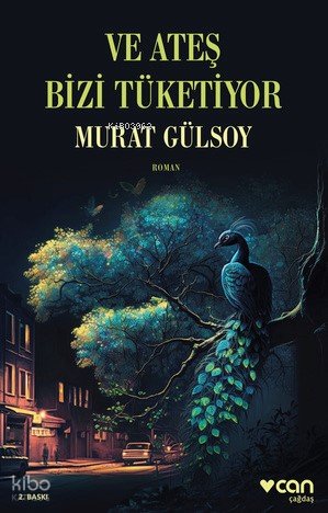 Ve Ateş Bizi Tüketiyor - Murat Gülsoy