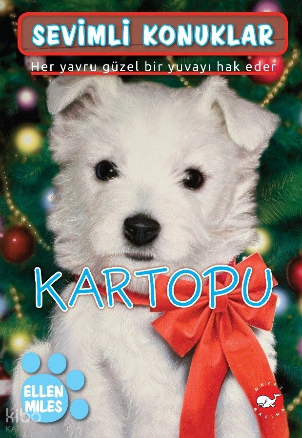 Kartopu