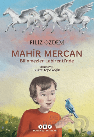MAHİR MERCAN (BİLİNMEZLER LABİRENTİNDE)
