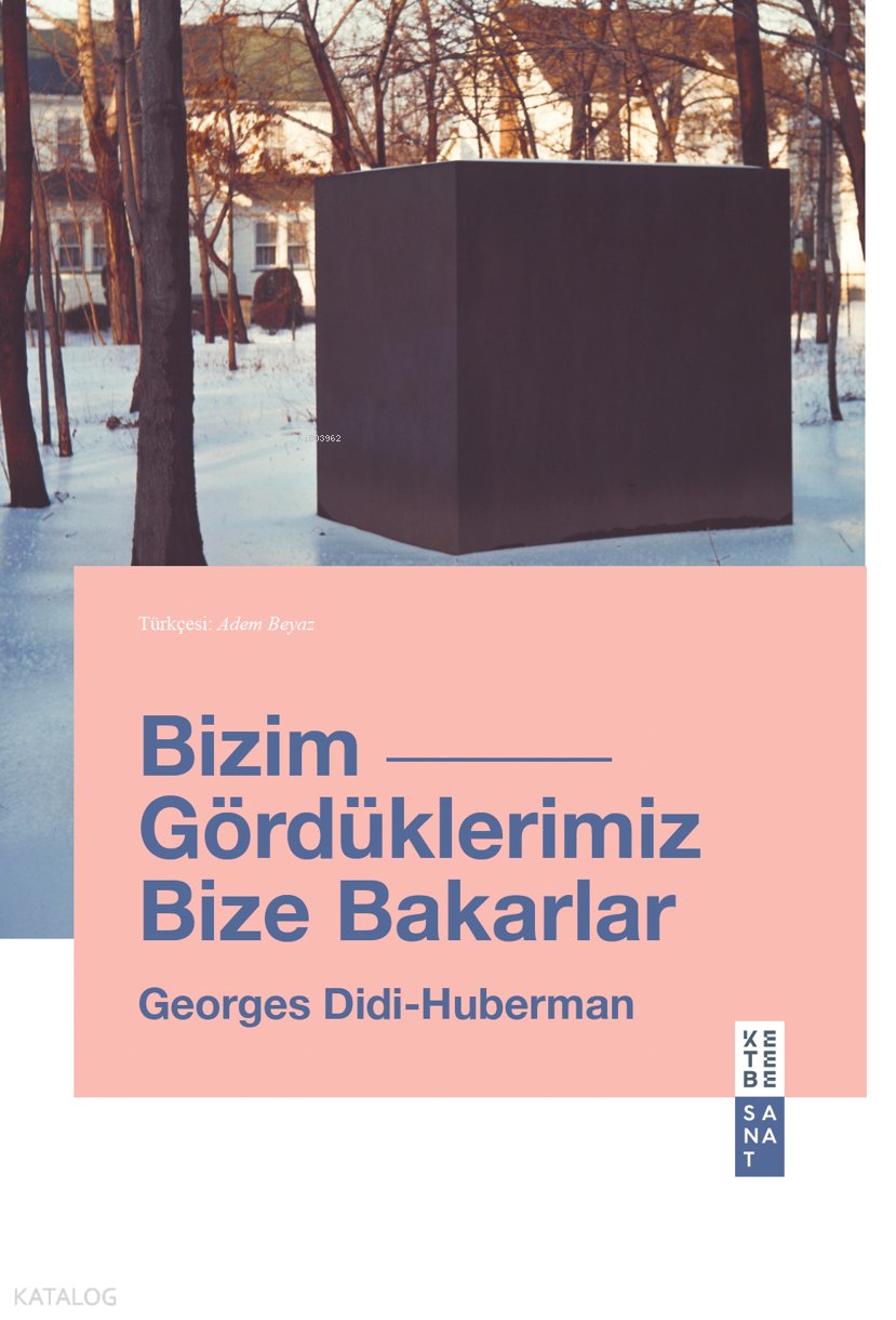Bizim Gördüklerimiz Bize Bakarlar - Georges Didi-Huberman