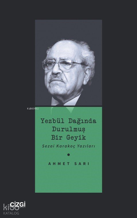 Yezbül Dağında Durulmuş Bir Geyik - Ahmet Sarı