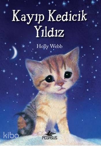Kayıp Kedicik Yıldız - Holly Webb
