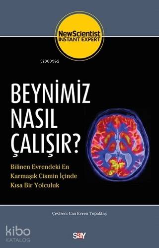 Beynimiz Nasıl Çalışır?