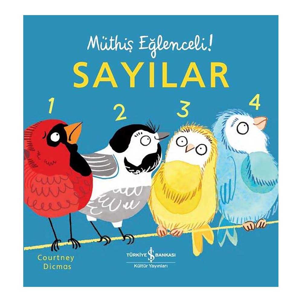 SAYILAR (MÜTHİŞ EĞLENCELİ)