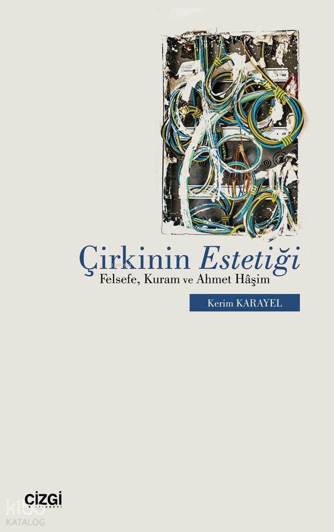 Çirkinin Estetiği - Felsefe, Kuram ve Ahmet Haşim
