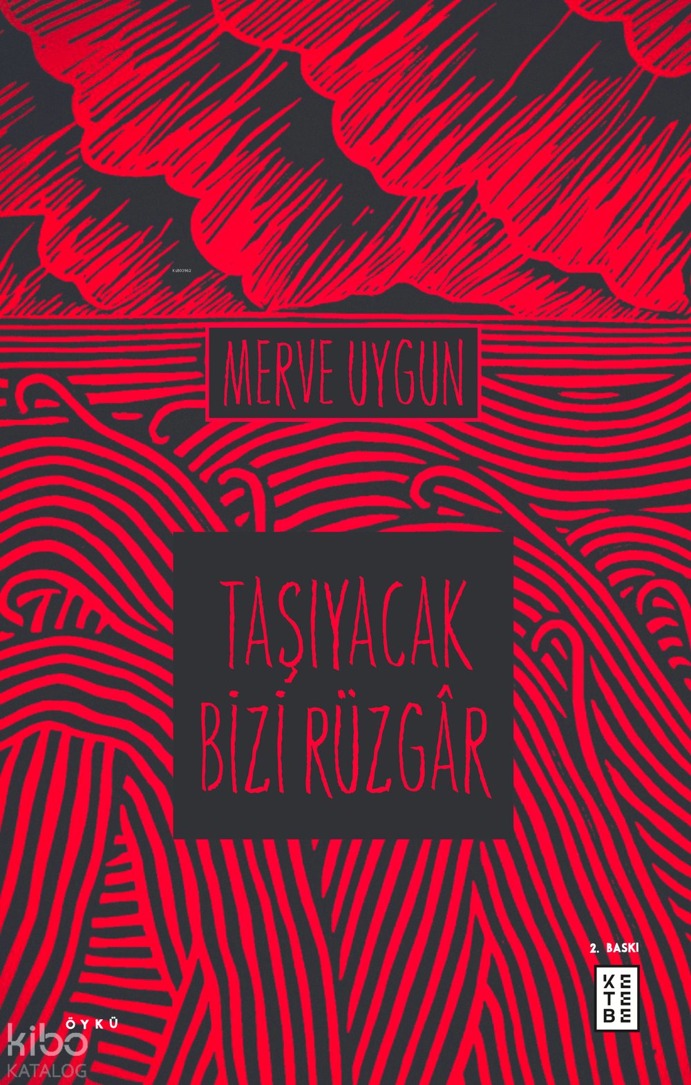 Taşıyacak Bizi Rüzgâr - Merve Uygun