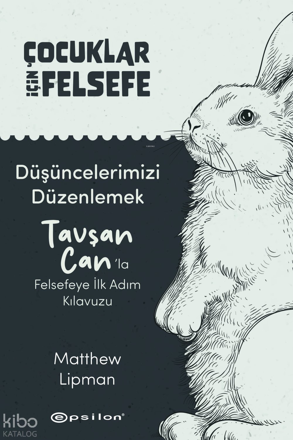 Düşüncelerimizi Düzenlemek: Tavşan Can’la Felsefeye İlk Adım Kılavuzu - Matthew Lipman