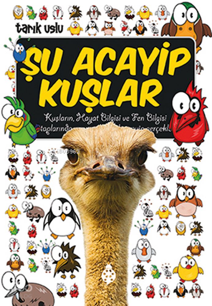 ŞU ACAYİP KUŞLAR