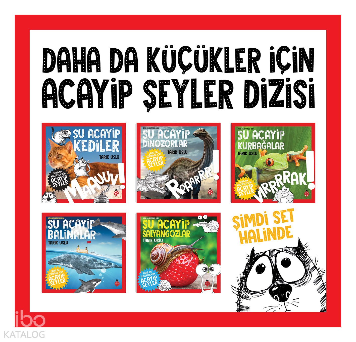 DAHA DA KÜÇÜKLER İÇİN ACP ŞEYLER SET 1(5 KİTAP)