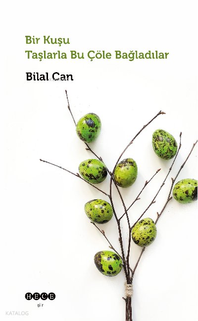 Bir Kuşu Taşlarla Bu Çöle Bağladılar - Bilal Can