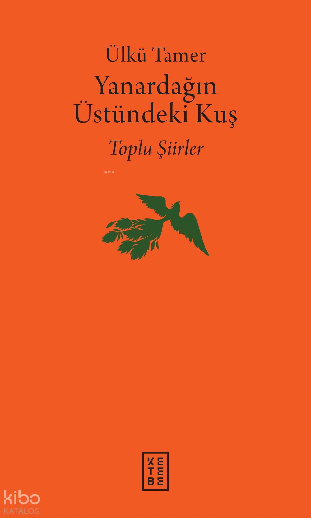 Yanardağın Üstündeki Kuş - Ülkü Tamer