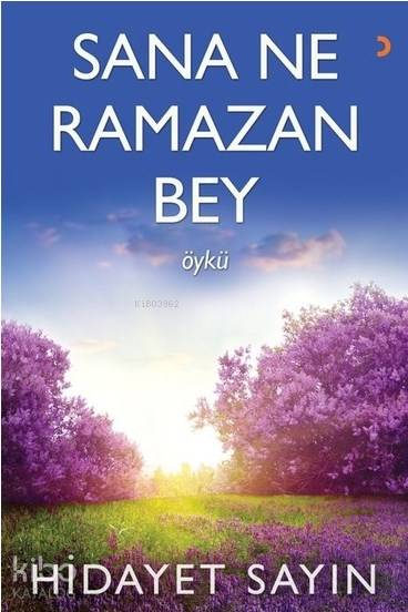 Sana Ne Ramazan Bey