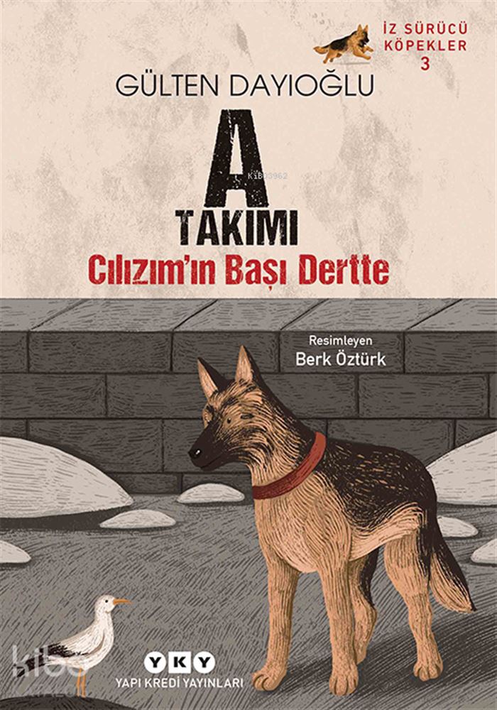 A TAKIMI CILIZIMIN BAŞI DERTTE